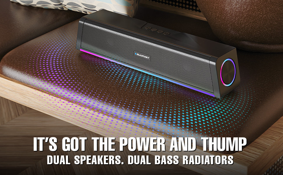 Dual Speaker