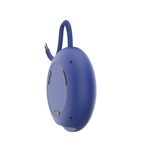 Bestseller in Bluetooth Speaker