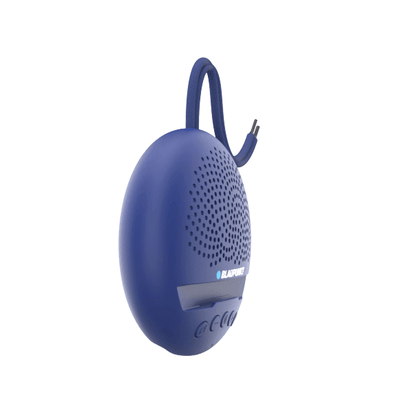 Bestseller in Bluetooth Speaker