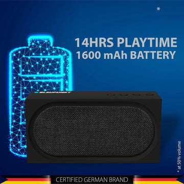 BT-55 Portable Party speaker (BK) - Blaupunkt India