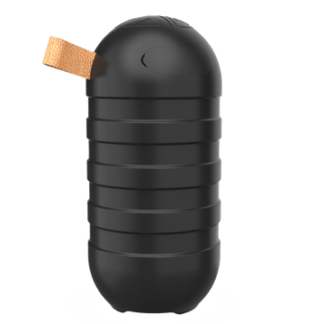 BT05 Wireless Bluetooth Speaker (BK) - Blaupunkt India