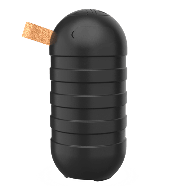 BT05 Wireless Bluetooth Speaker (BK) - Blaupunkt India