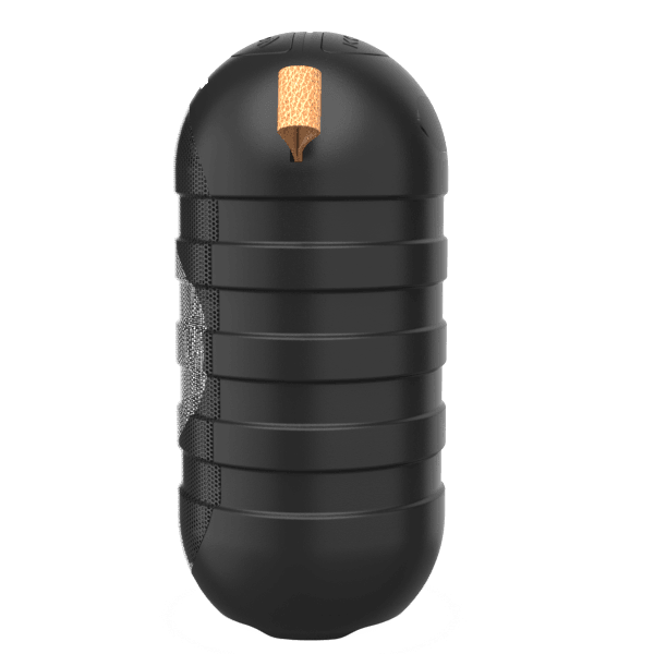 BT05 Wireless Bluetooth Speaker (BK) - Blaupunkt India