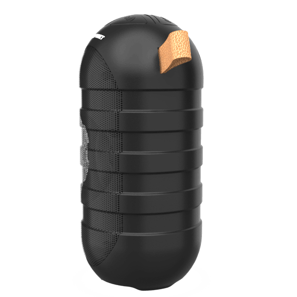BT05 Wireless Bluetooth Speaker (BK) - Blaupunkt India
