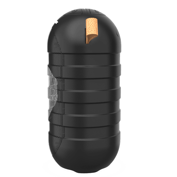 BT05 Wireless Bluetooth Speaker (BK) - Blaupunkt India