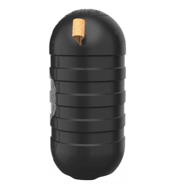 BT05 Wireless Bluetooth Speaker (BK) - Blaupunkt India