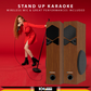 ROCK & ROLL TSP Tower Speakers Refurbished Brown