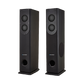 TS100 DOLBY Bluetooth 200W Tower Speakers Black