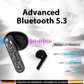 BTW12 True Wireless Bluetooth Earbuds (Black)