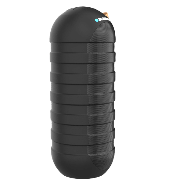 BT10 Portable Bluetooth Speaker (Black) - Blaupunkt India