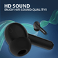 Blaupunkt BTW20 BK Wireless Earbuds | HD Sound,Light Weight